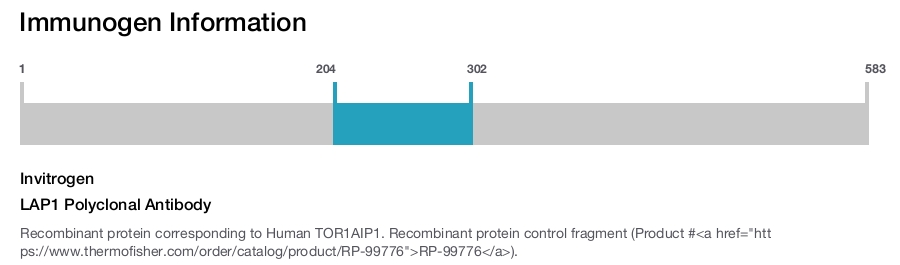 LAP1 Polyclonal Antibody