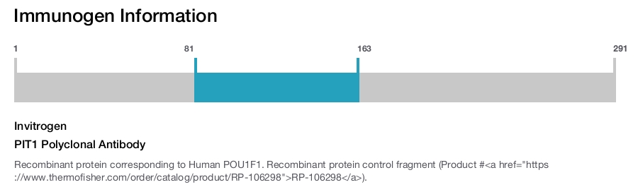 PIT1 Polyclonal Antibody