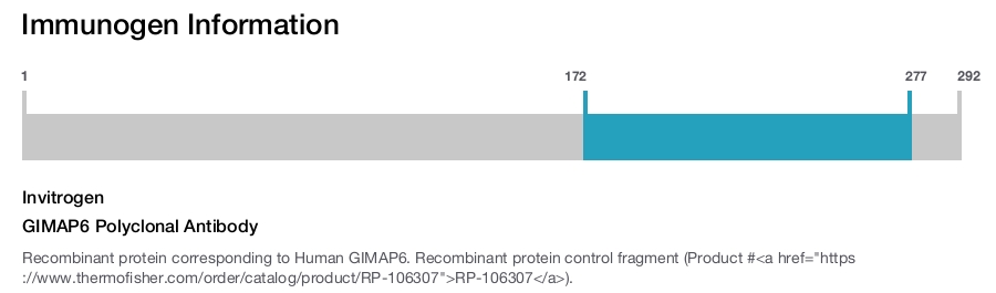 GIMAP6 Polyclonal Antibody
