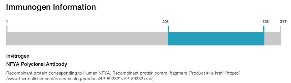 NFYA Polyclonal Antibody