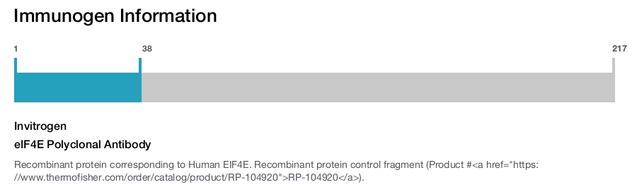 eIF4E Polyclonal Antibody