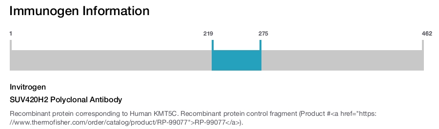 SUV420H2 Polyclonal Antibody