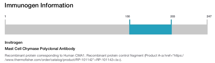 Mast Cell Chymase Polyclonal Antibody