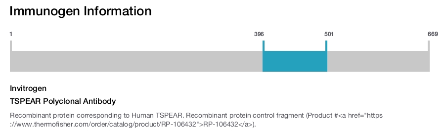 TSPEAR Polyclonal Antibody