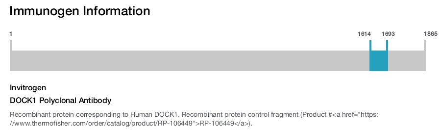 DOCK1 Polyclonal Antibody