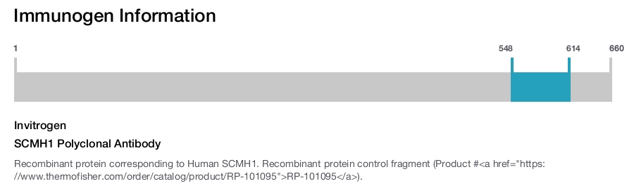 SCMH1 Polyclonal Antibody