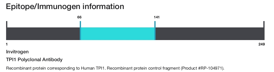 TPI1 Polyclonal Antibody