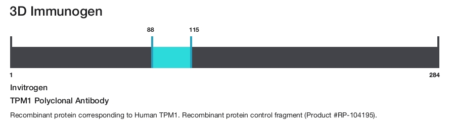 TPM1 Polyclonal Antibody