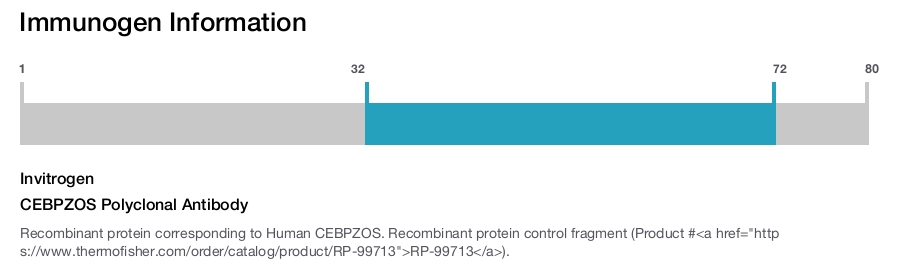 CEBPZOS Polyclonal Antibody