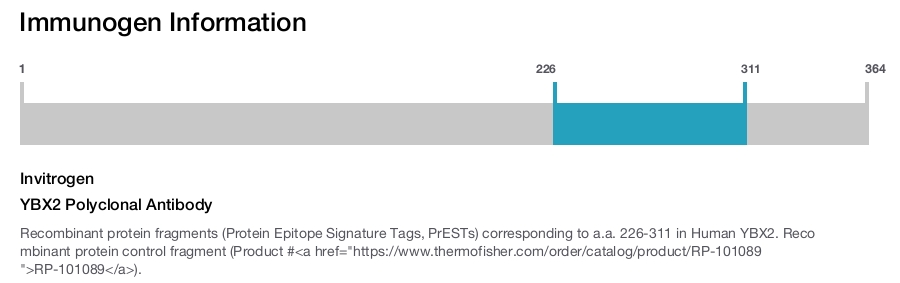 YBX2 Polyclonal Antibody
