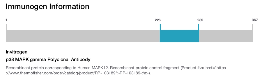 p38 MAPK gamma Polyclonal Antibody