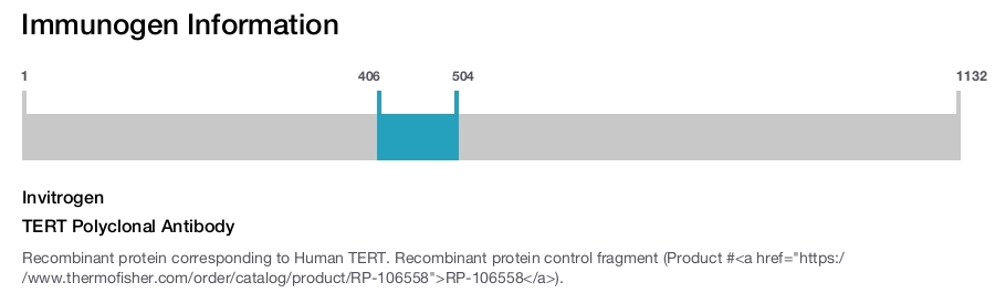 TERT Polyclonal Antibody