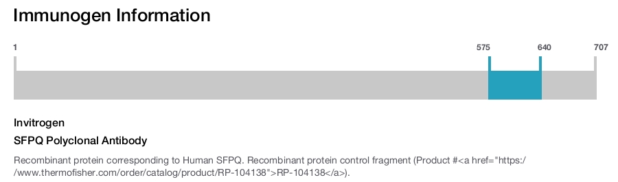 SFPQ Polyclonal Antibody