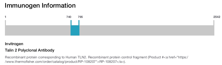 Talin 2 Polyclonal Antibody
