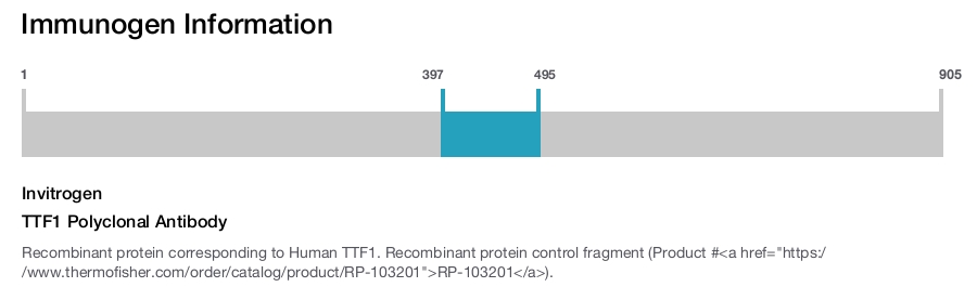 TTF1 Polyclonal Antibody