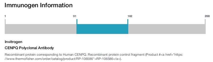 CENPQ Polyclonal Antibody