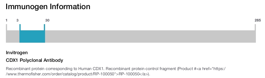 CDX1 Polyclonal Antibody
