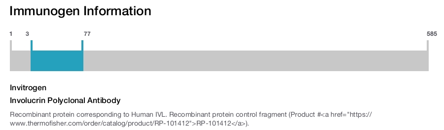 Involucrin Polyclonal Antibody