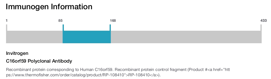 C16orf59 Polyclonal Antibody