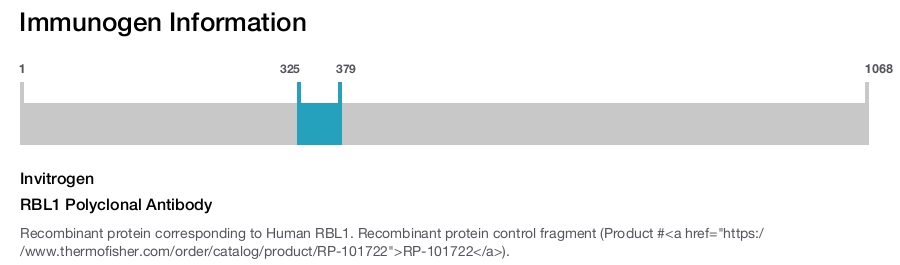 RBL1 Polyclonal Antibody