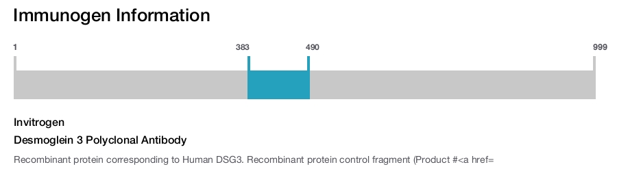 Desmoglein 3 Polyclonal Antibody