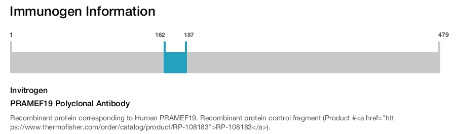 PRAMEF19 Polyclonal Antibody