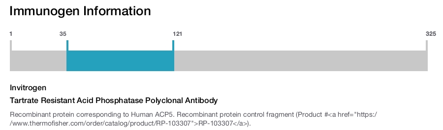 Tartrate Resistant Acid Phosphatase Polyclonal Antibody