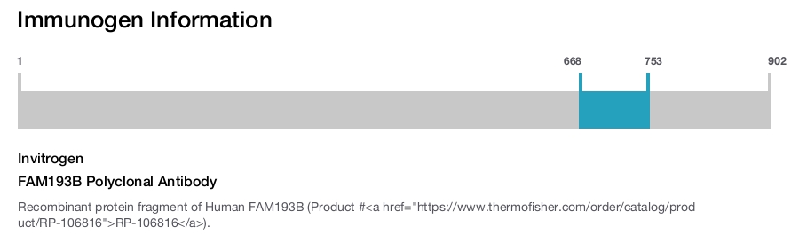 FAM193B Polyclonal Antibody