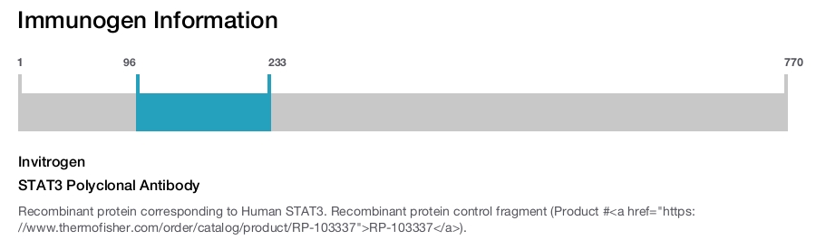 STAT3 Polyclonal Antibody