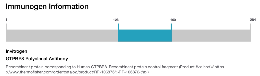 GTPBP8 Polyclonal Antibody