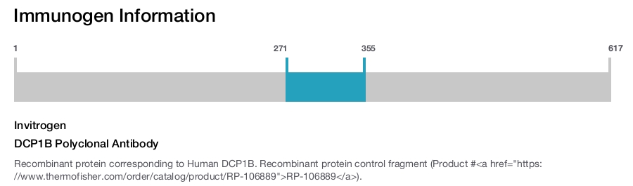 DCP1B Polyclonal Antibody