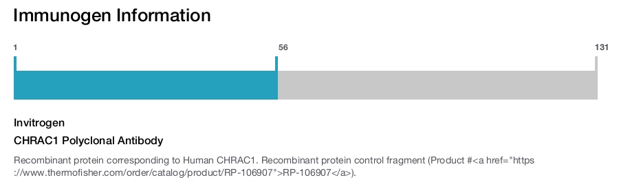 CHRAC1 Polyclonal Antibody