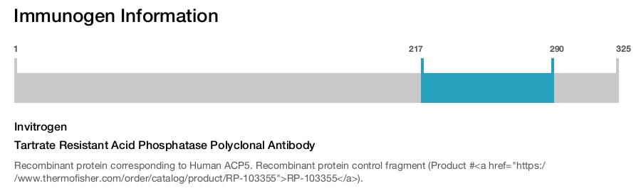 Tartrate Resistant Acid Phosphatase Polyclonal Antibody