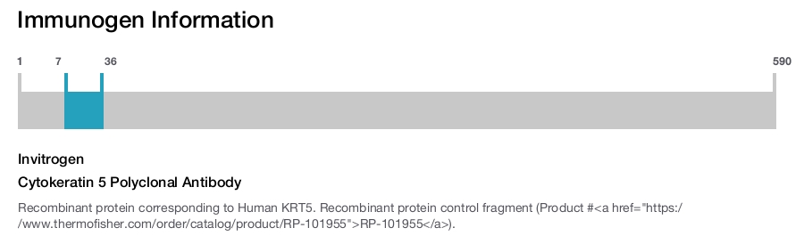 Cytokeratin 5 Polyclonal Antibody