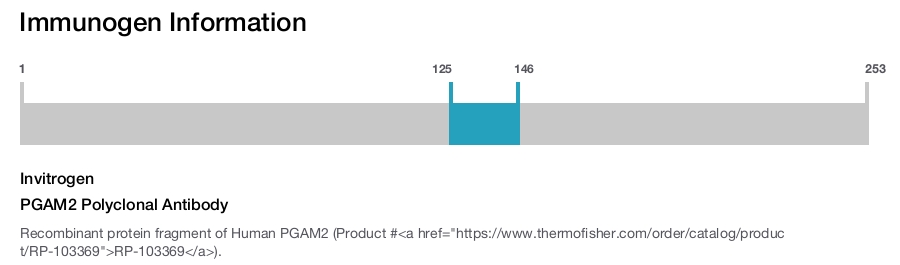 PGAM2 Polyclonal Antibody