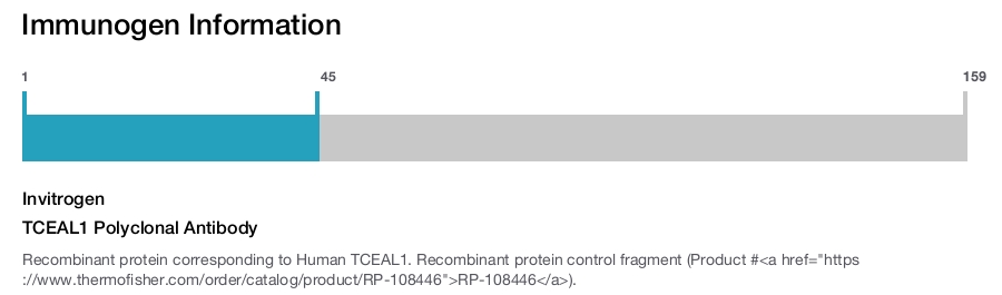 TCEAL1 Polyclonal Antibody