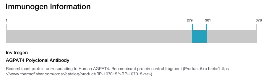 AGPAT4 Polyclonal Antibody