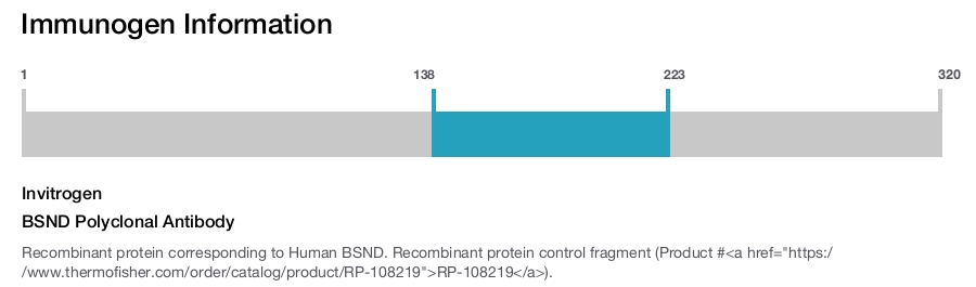 BSND Polyclonal Antibody