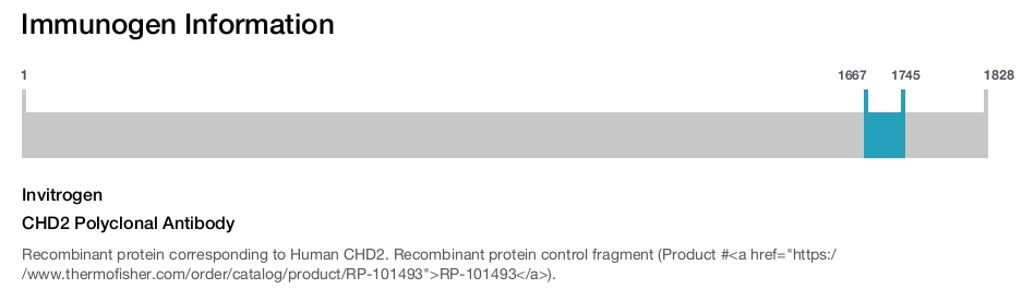 CHD2 Polyclonal Antibody