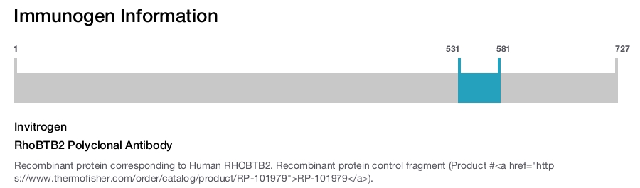 RhoBTB2 Polyclonal Antibody