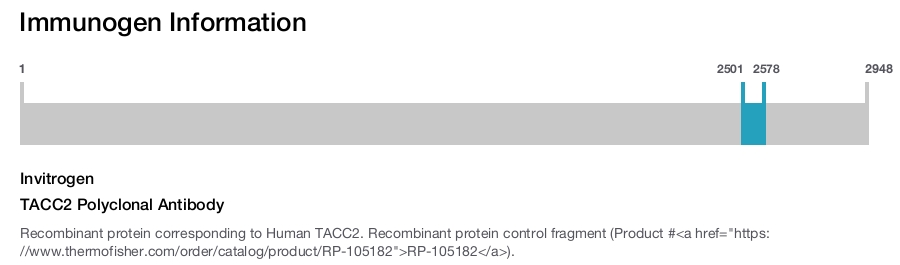 TACC2 Polyclonal Antibody