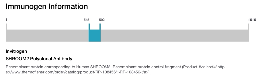 SHROOM2 Polyclonal Antibody