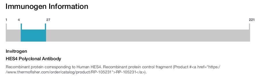 HES4 Polyclonal Antibody