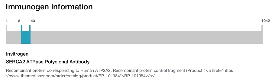 SERCA2 ATPase Polyclonal Antibody