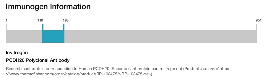 PCDH20 Polyclonal Antibody