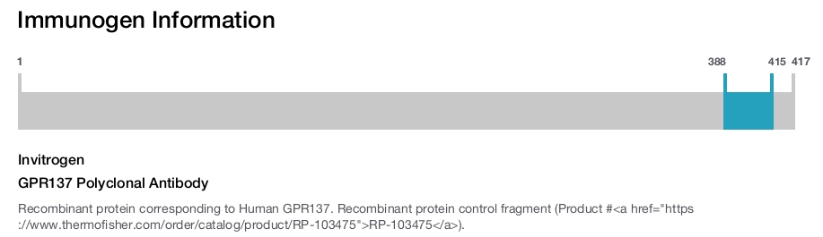 GPR137 Polyclonal Antibody
