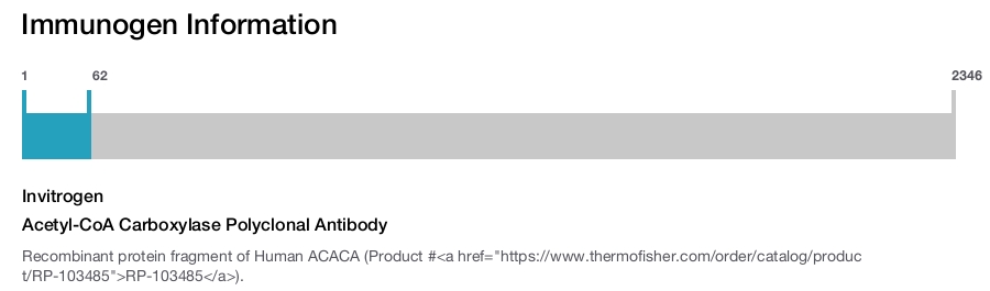 Acetyl-CoA Carboxylase Polyclonal Antibody