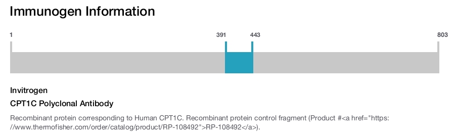 CPT1C Polyclonal Antibody