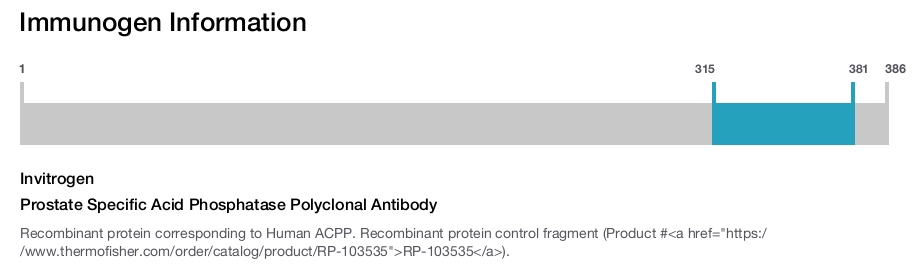 Prostate Specific Acid Phosphatase Polyclonal Antibody