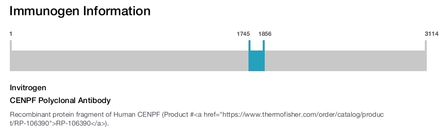 CENPF Polyclonal Antibody